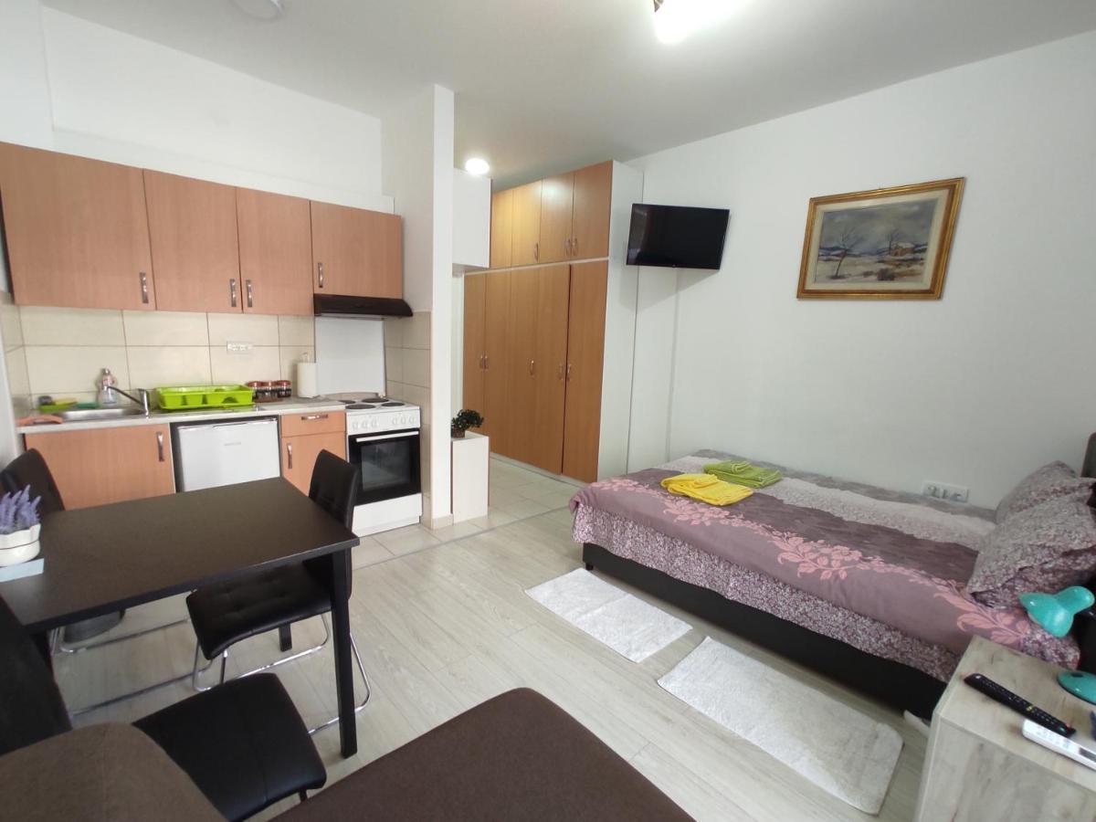 Apartman Goca Banja Koviljača 外观 照片
